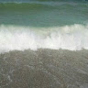 Meet your Posher, Nadine